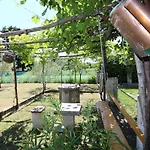 In - Insel Krk 27652 Tatil Evi